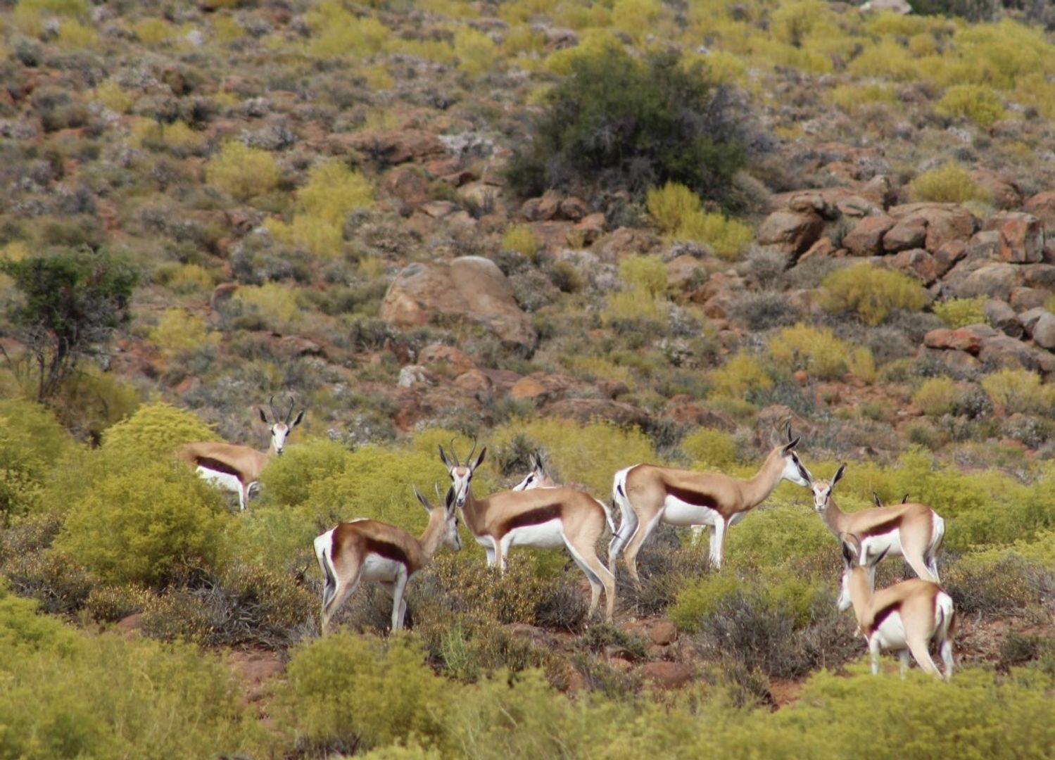 Property and houses for sale in Calvinia Calvinia Property