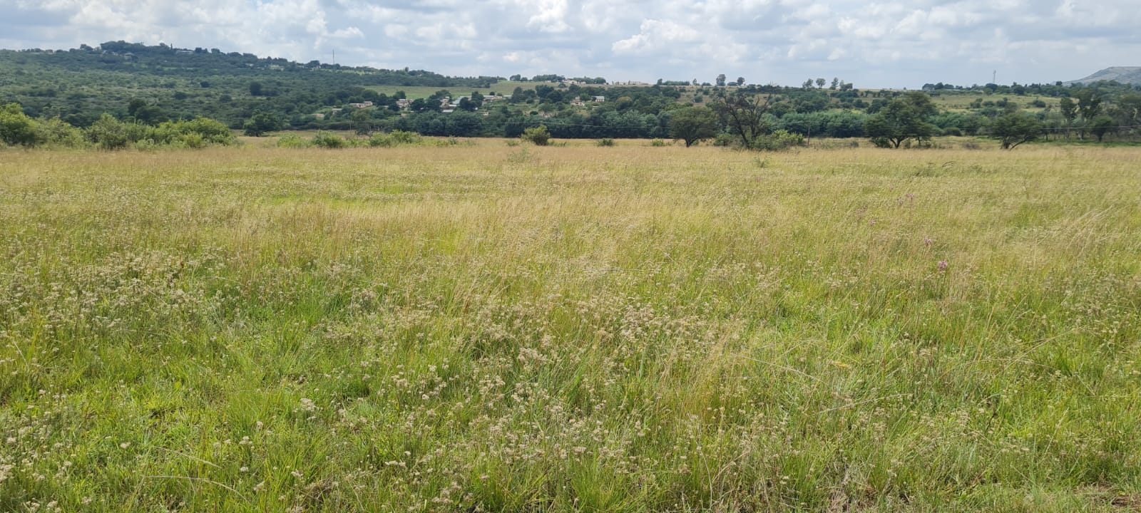 Letamo Game Farm Property Property and houses for sale in Letamo Game