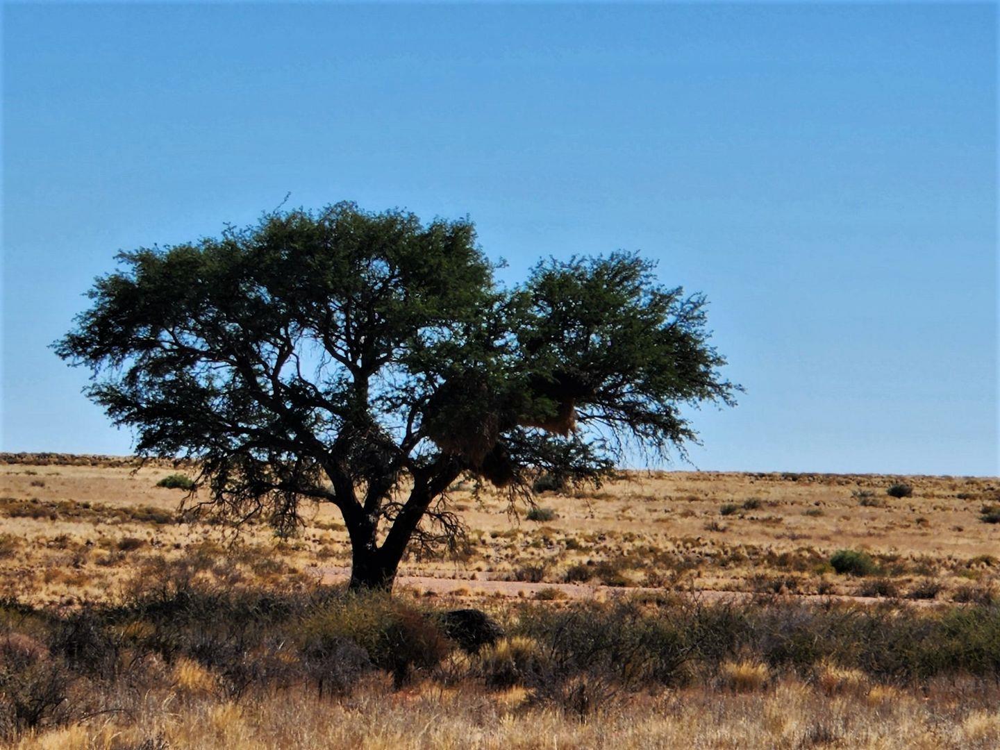 Property for sale in Northern Cape Farms for sale in Northern Cape