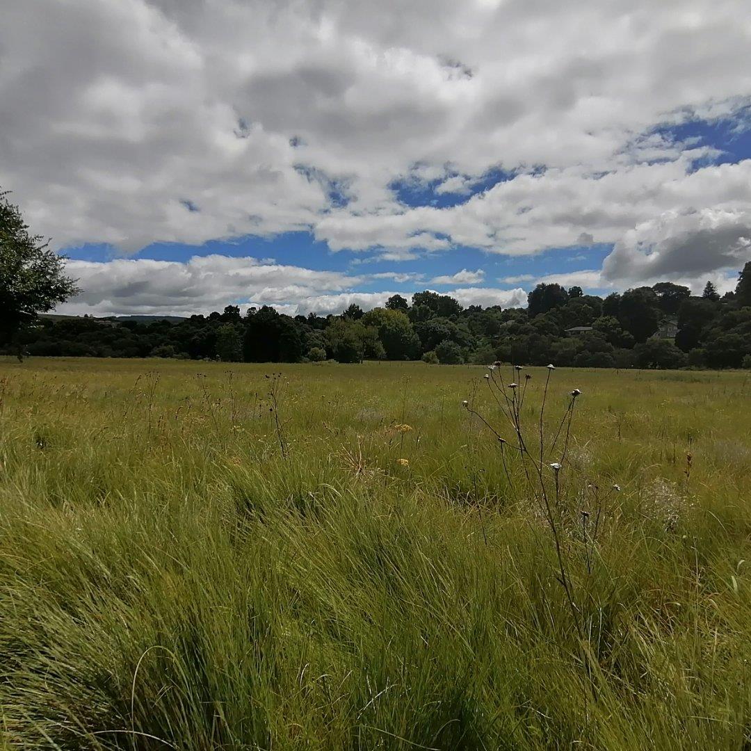 Vacant land / plot for sale in River Goose Estate P24112365360