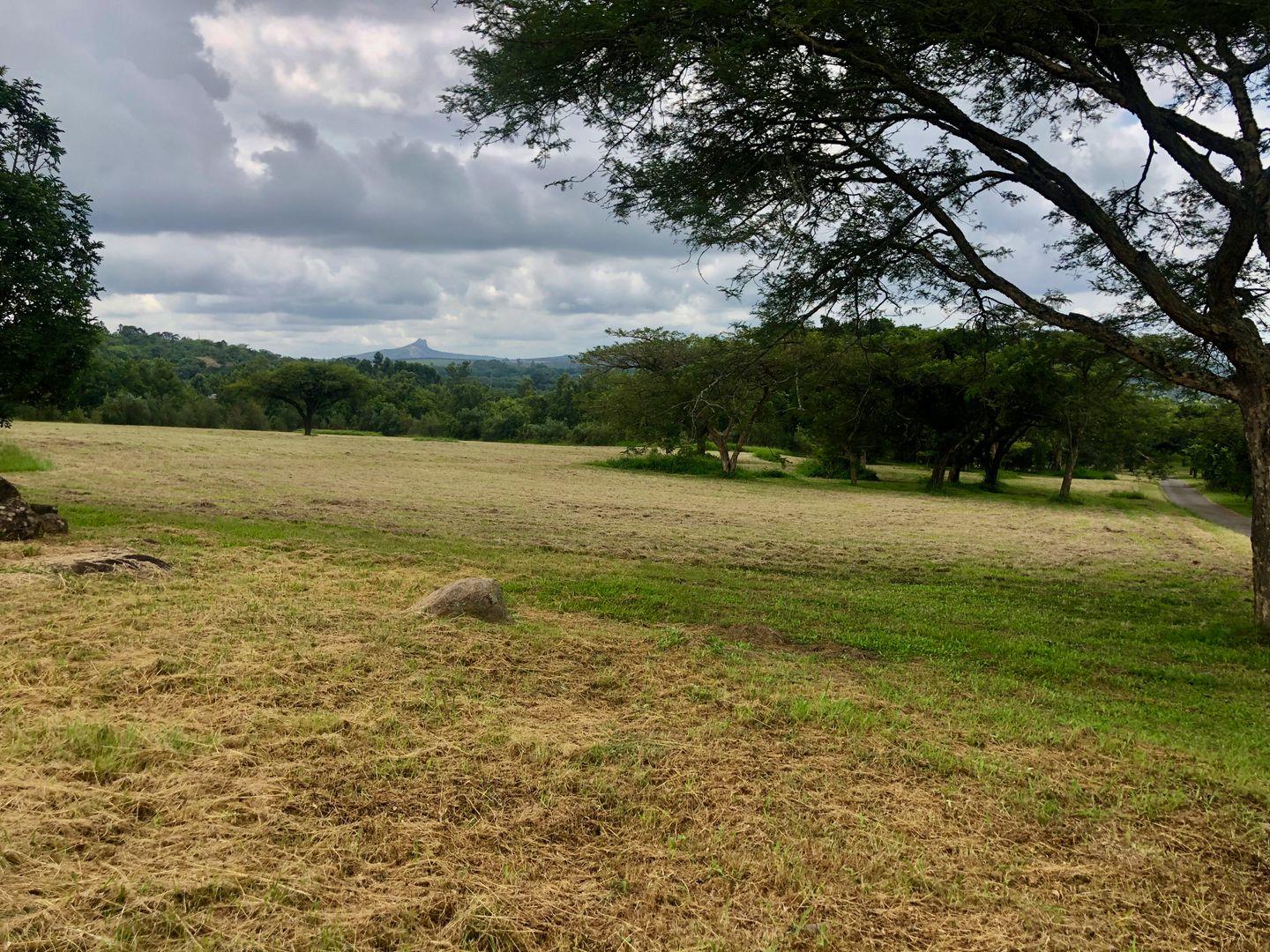 Vacant land / plot for sale in White River Estates P24111006040