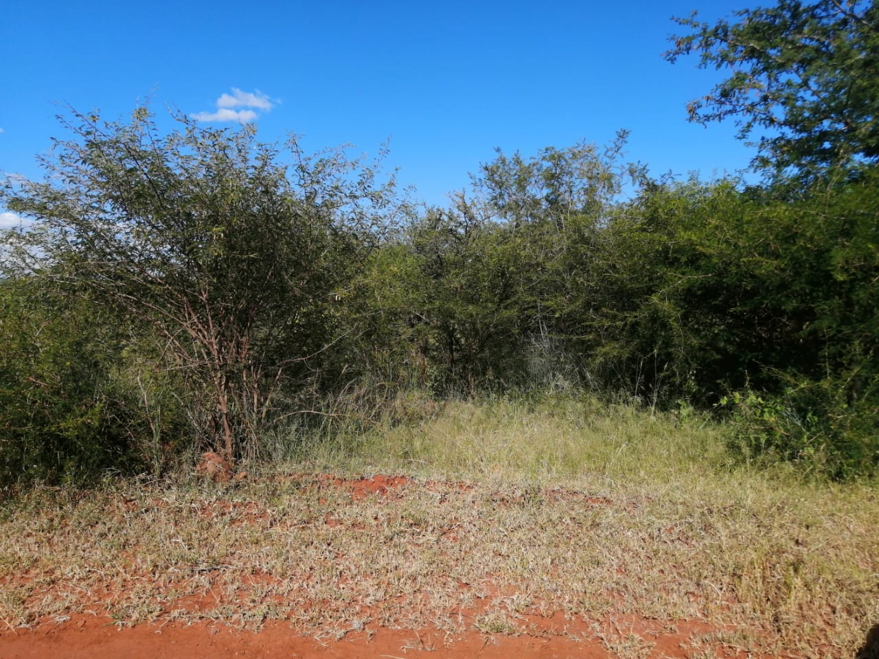 Vacant land / plot for sale in Polokwane Rural P24112366804