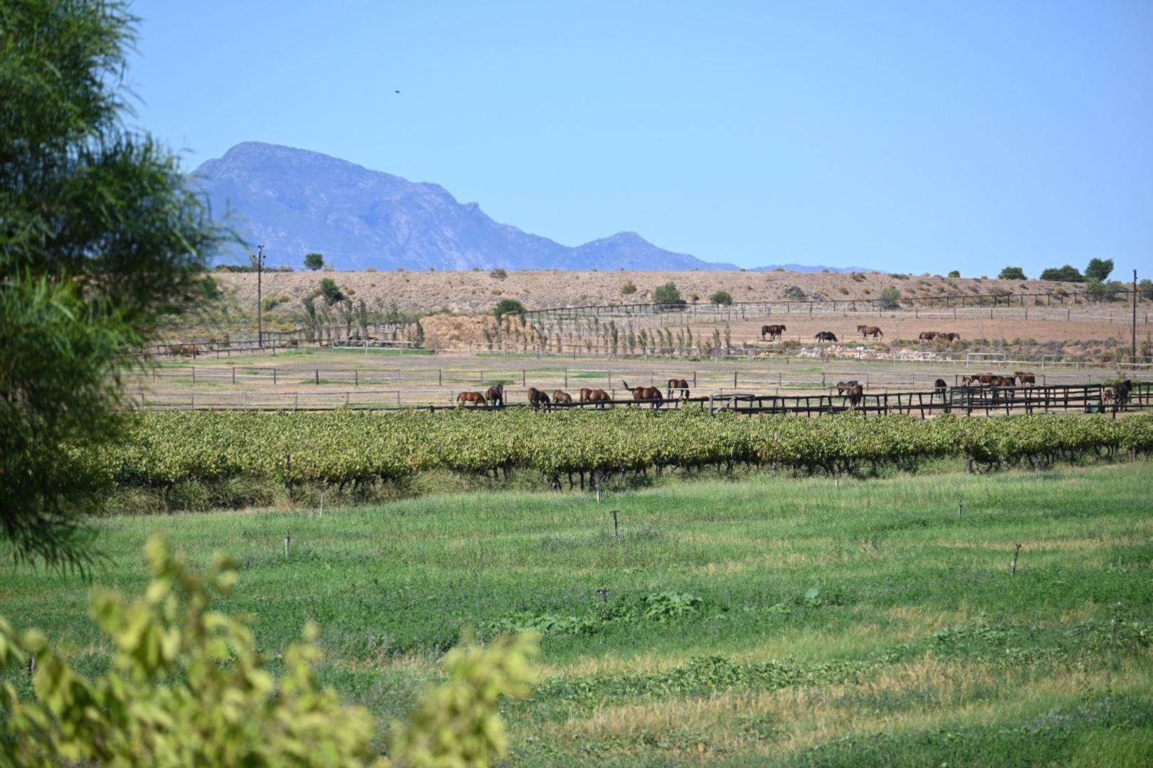 Farm for sale in Robertson Rural P24112369200