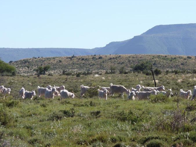 Farm for Sale in Rural