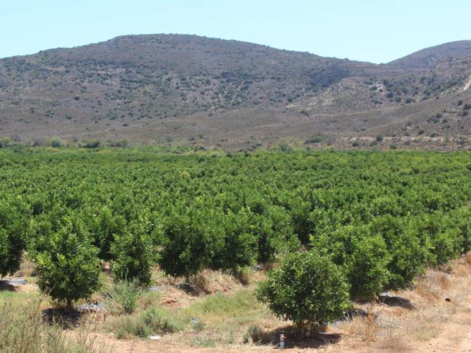 Farm for Sale in Montagu Rural