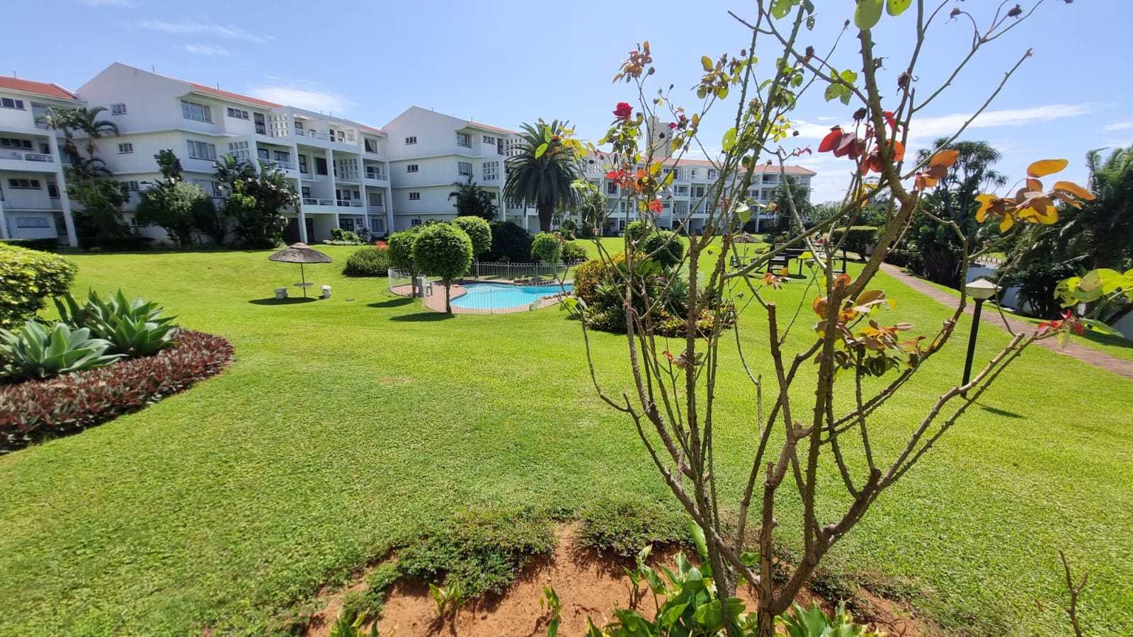 Apartments / flats to rent in Durban North Durban North Property
