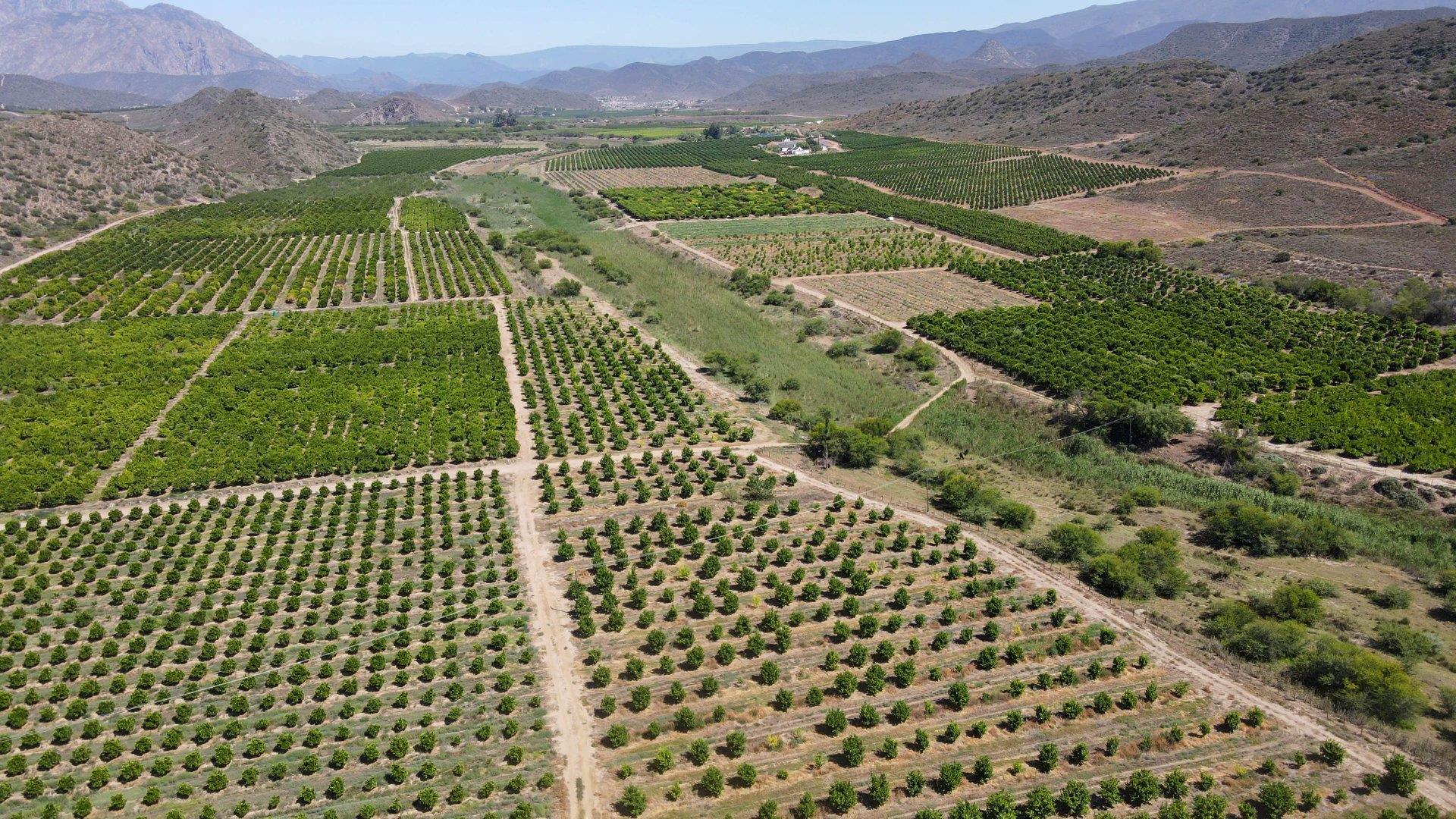 Farm for sale in Montagu Rural P24112395324