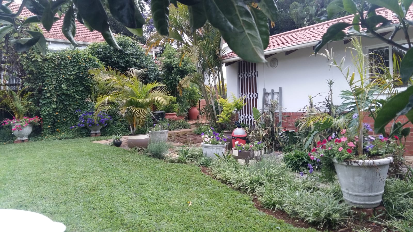 Property and houses to rent in Pietermaritzburg Pietermaritzburg