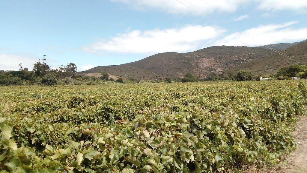 Robertson Rural Property Property and houses for sale in Robertson Rural Page 2