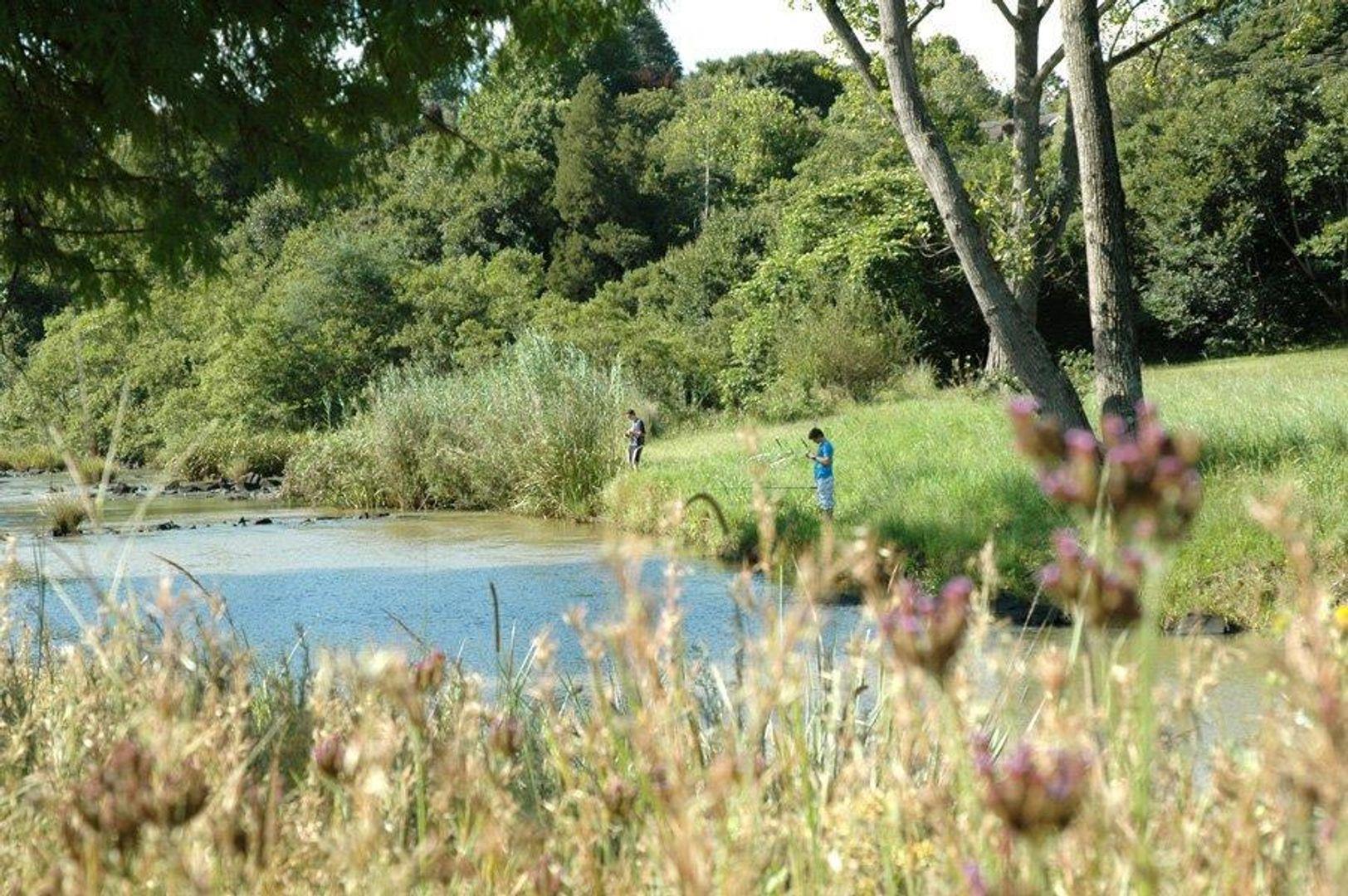 Vacant land / plot for sale in River Goose Estate P24111074520