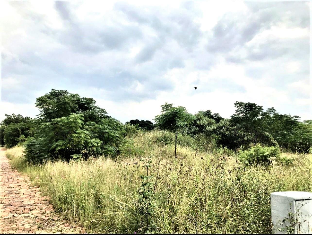 Vacant land / plots for sale in Centurion Centurion Property