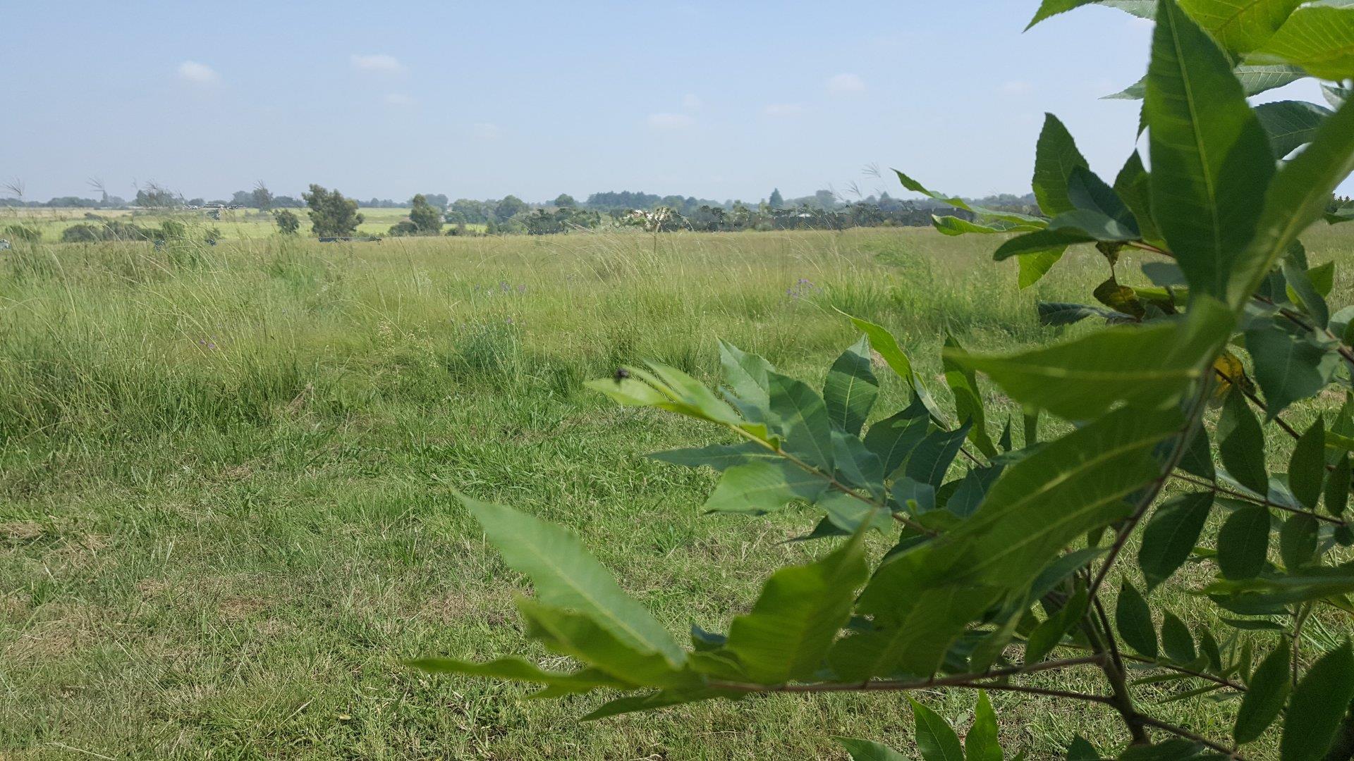 Vacant land / plot for sale in Vanderbijlpark Central P24114140982