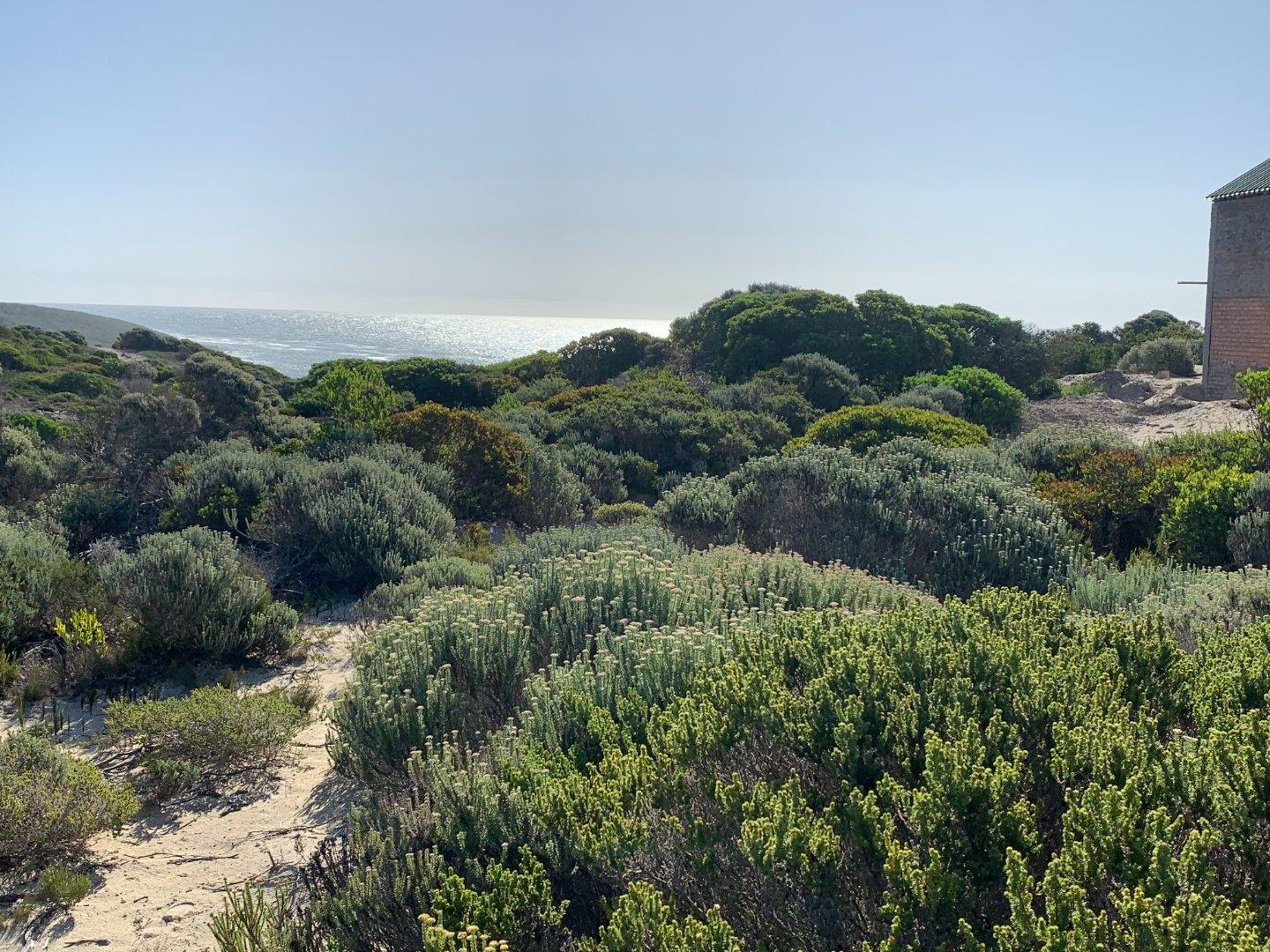 Vacant land / plot for sale in Romansbaai Estate P24112449562