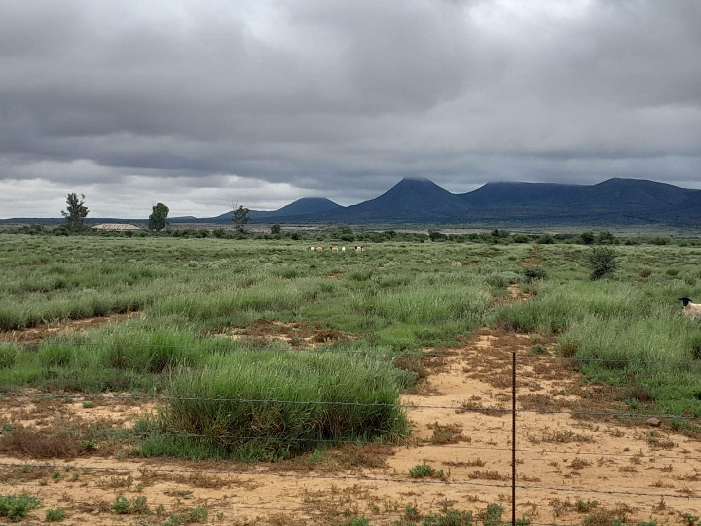 Property and houses for sale in Property