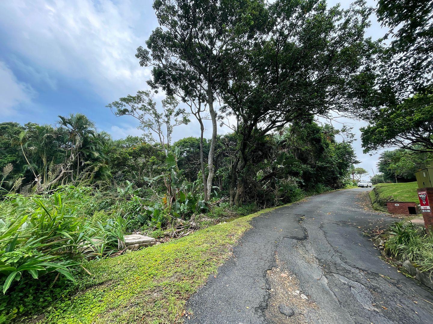 Vacant land / plot for sale in Southbroom 982 Brown Road P24112460944