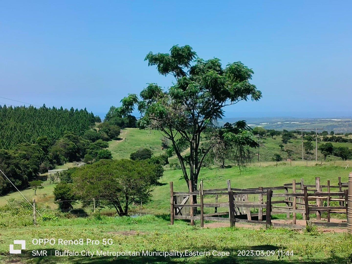 East London Rural Property Property and houses for sale in East