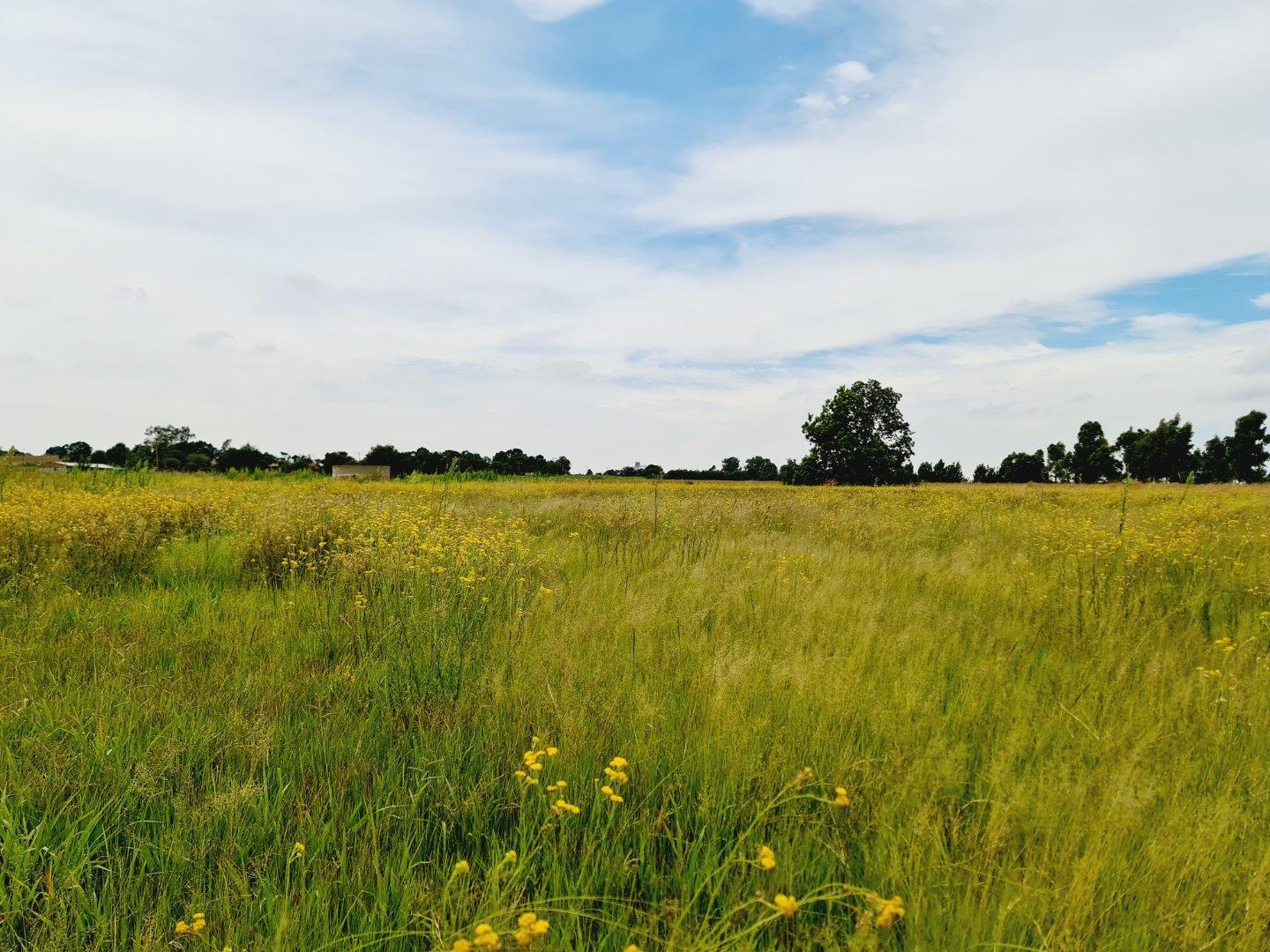 Farm for sale in Tarlton 114 Vlakplaats P24112466604