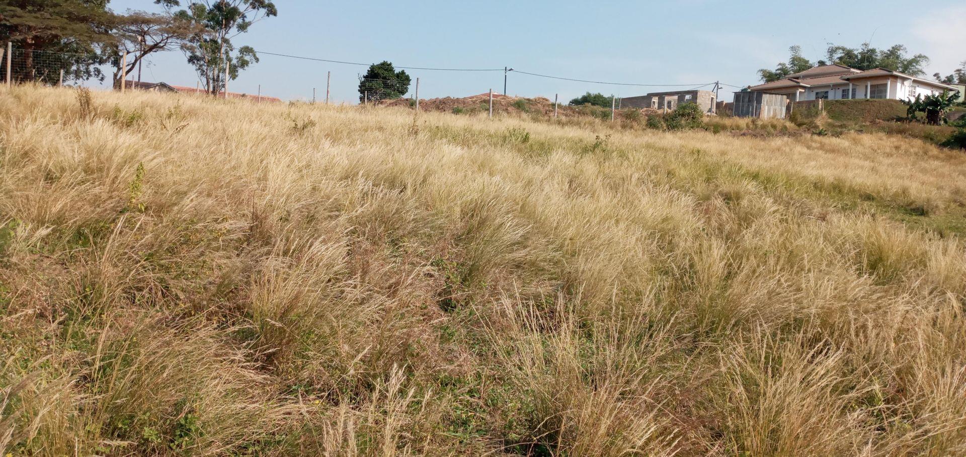 Vacant land / plots for sale in Umbumbulu Umbumbulu Property