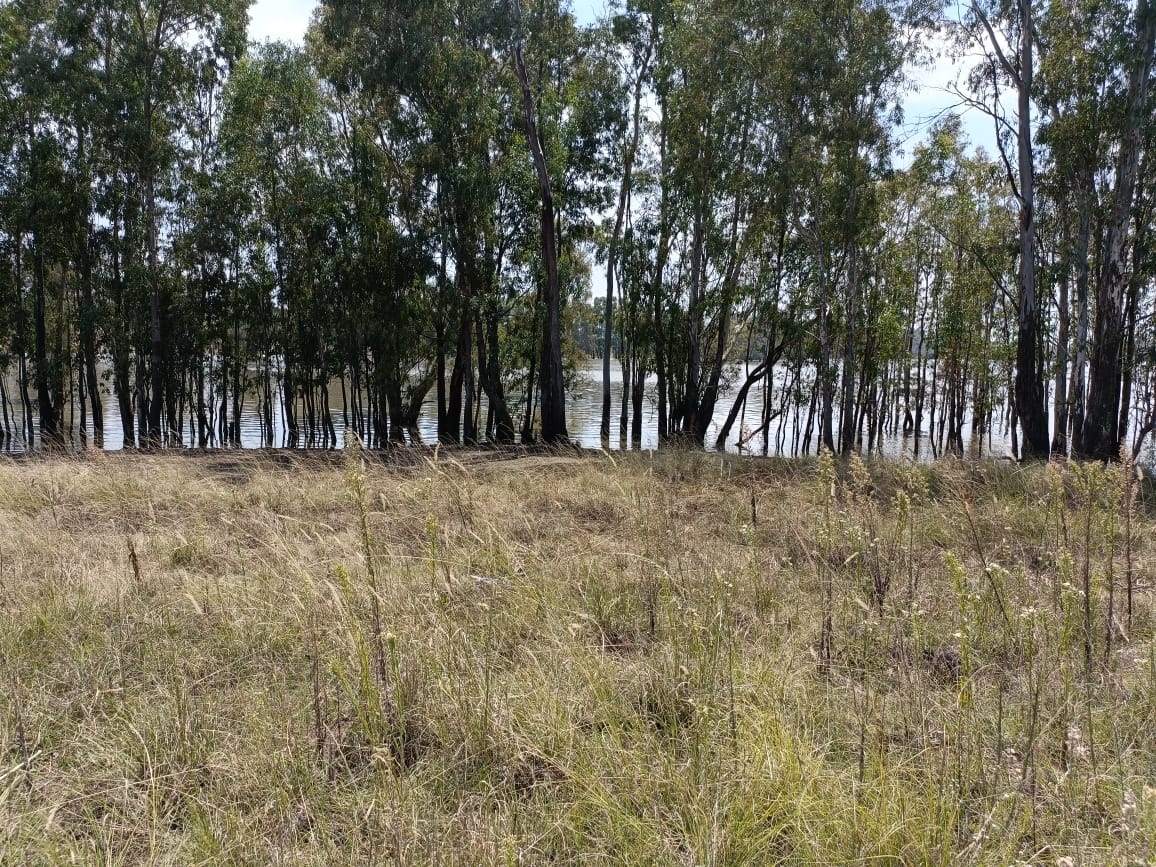 Vacant land / plot for sale in Oranjeville P24112467481