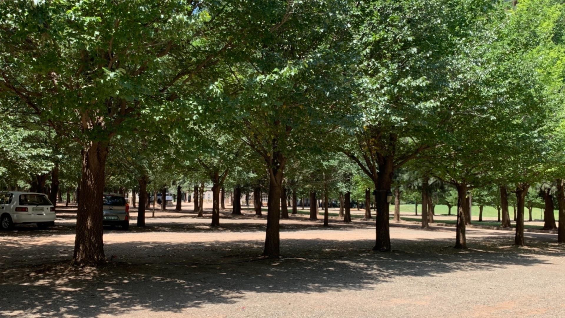 Vacant land / plot for sale in Magersfontein Memorial Golf Estate P24