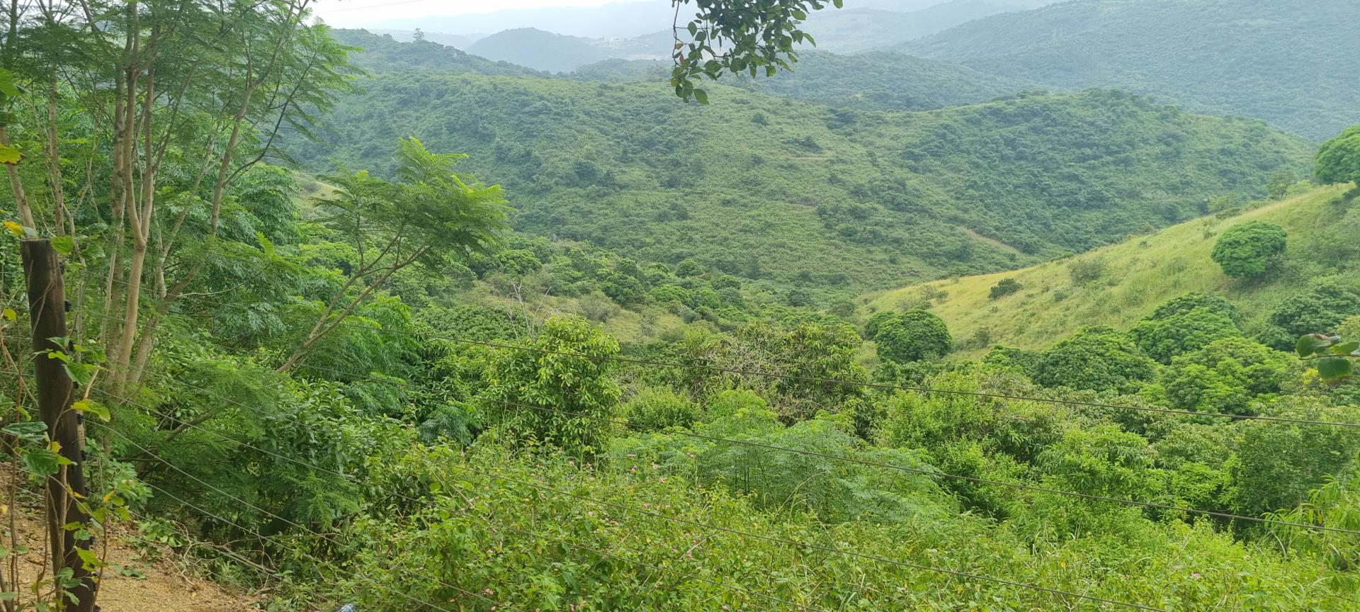 Murchison, Port Shepstone Property Property and houses for sale in Murchison, Port Shepstone