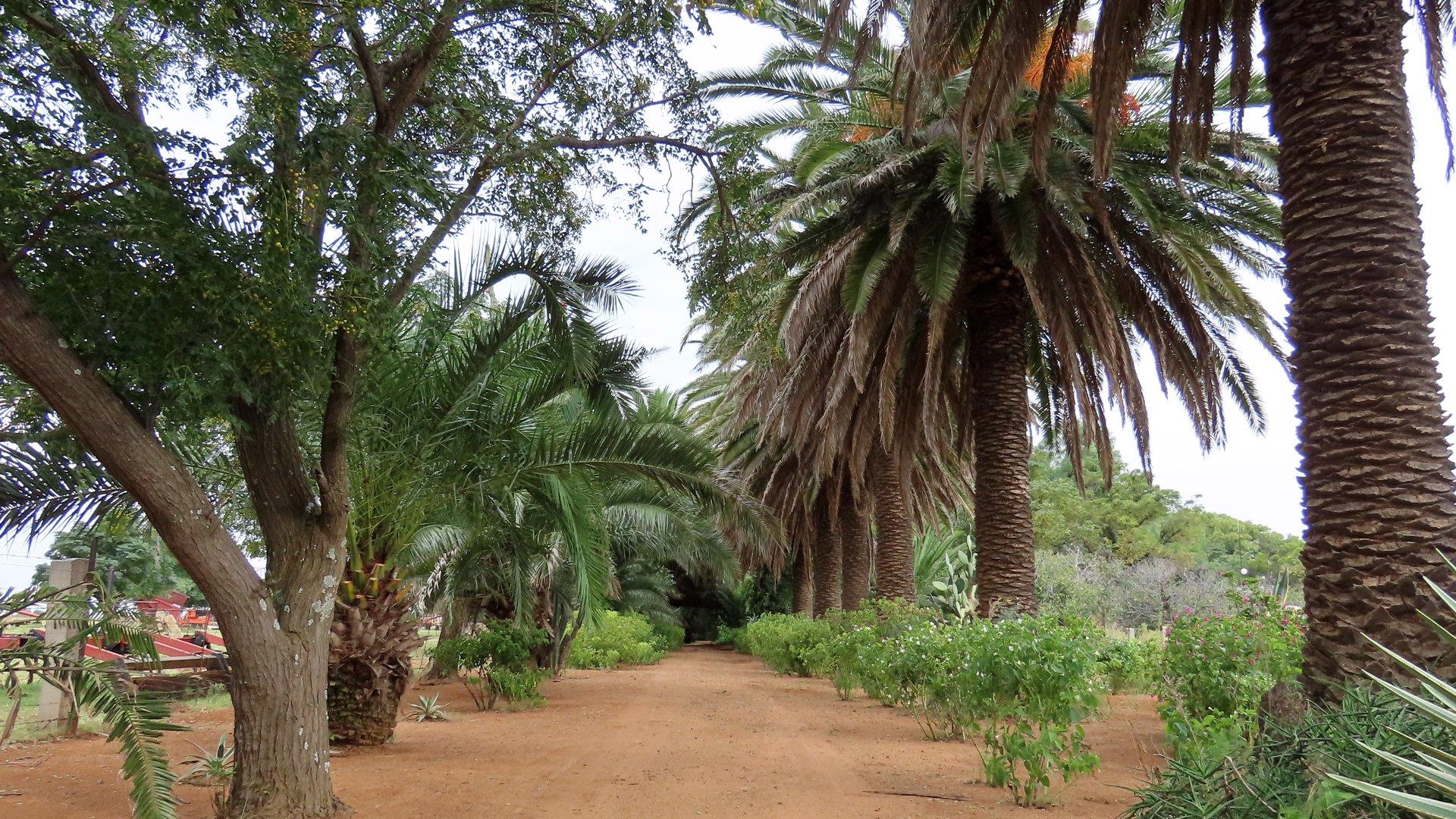 Property and houses for sale in Makwassie Makwassie Property