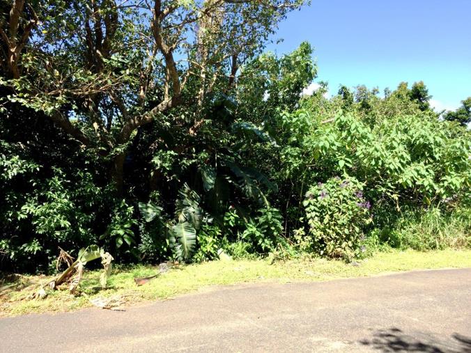 Vacant Land / Plot for Sale in Trafalgar