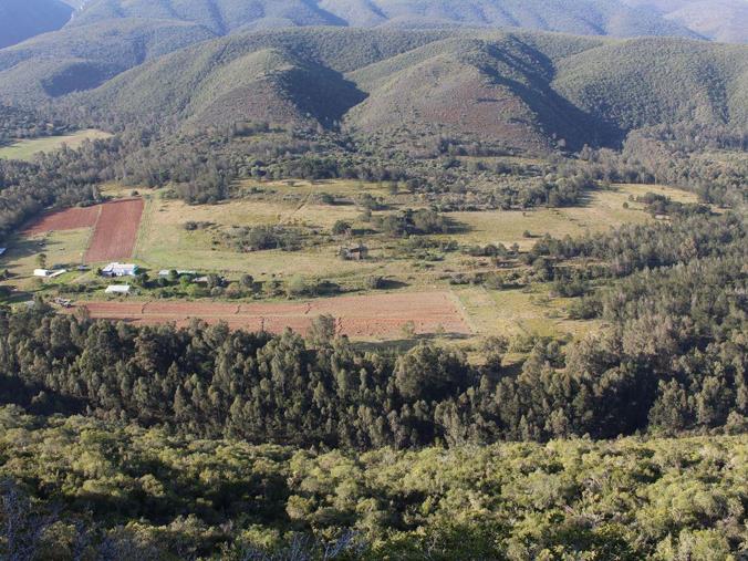 Farm for Sale in Uitenhage Rural