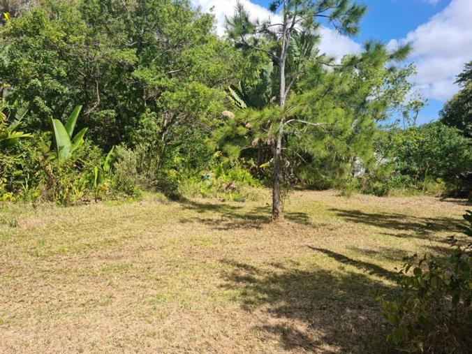 Vacant Land / Plot for Sale in Chamarel