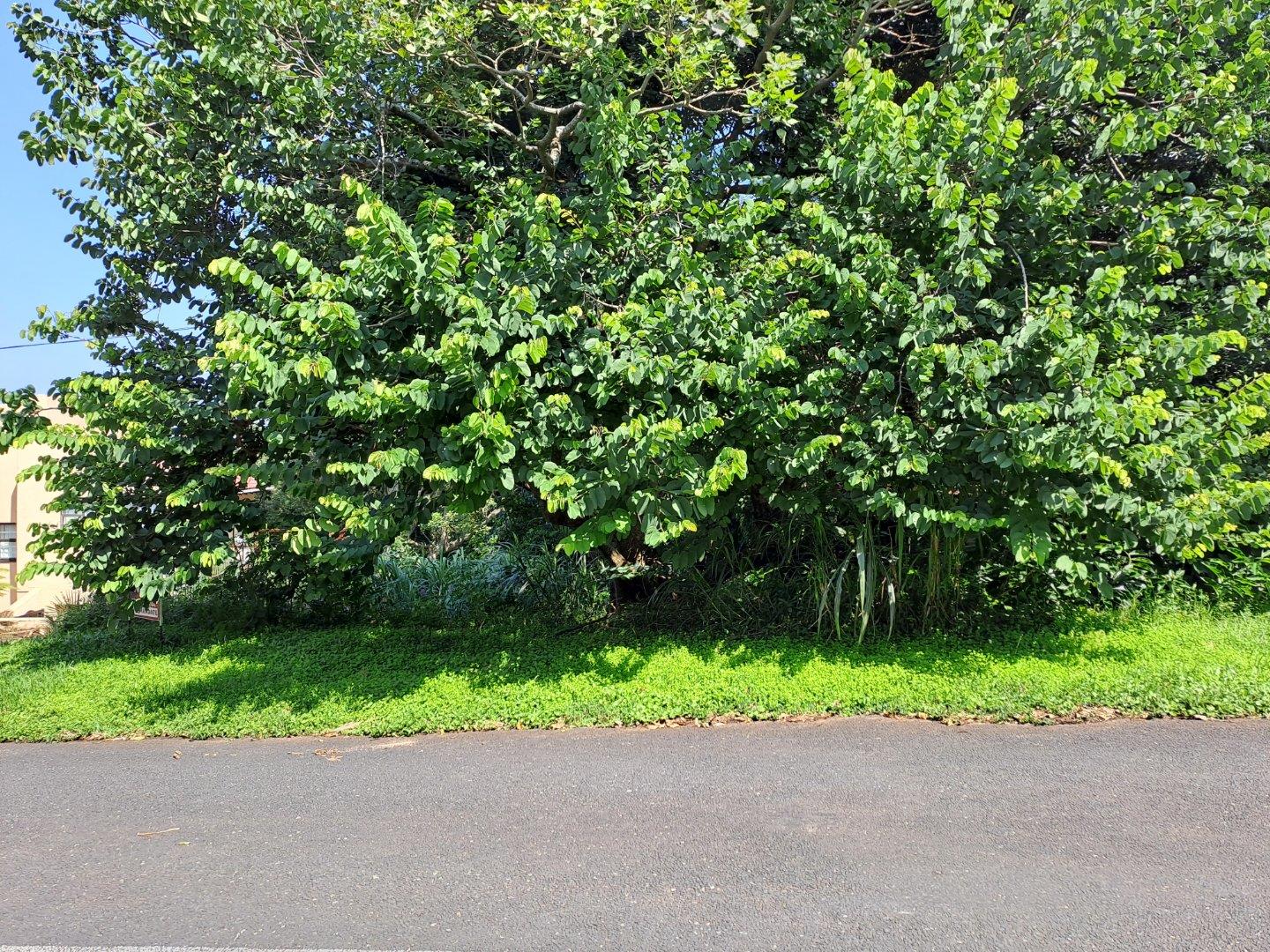 Vacant land / plot for sale in Three Hills 956 Blackpool Avenue P24111084570