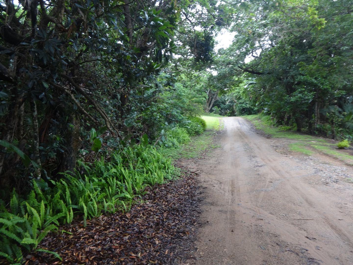 Glenmore, Port Edward Property Property and houses for sale in