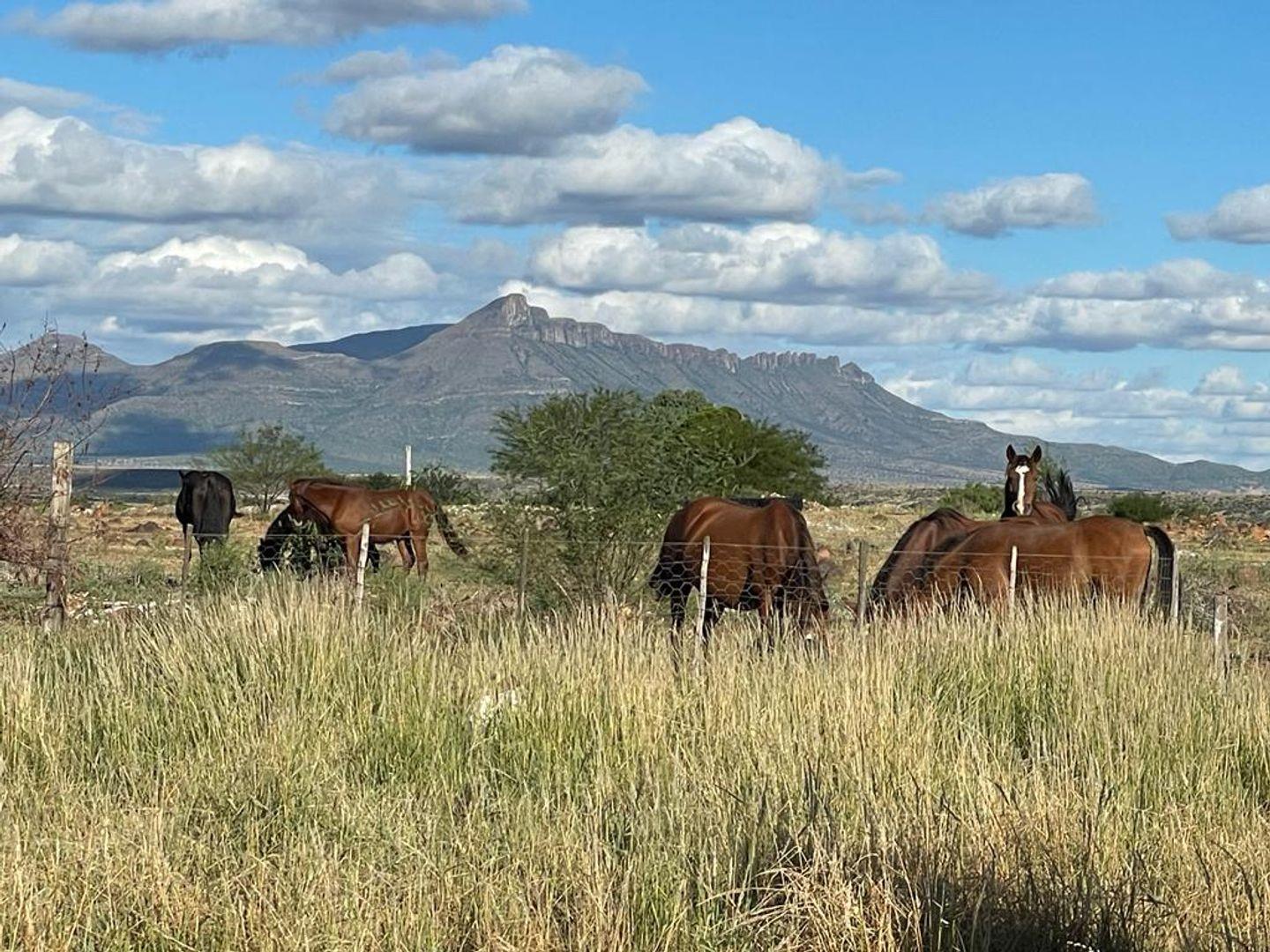 Farm for sale in Adendorp P24111274427