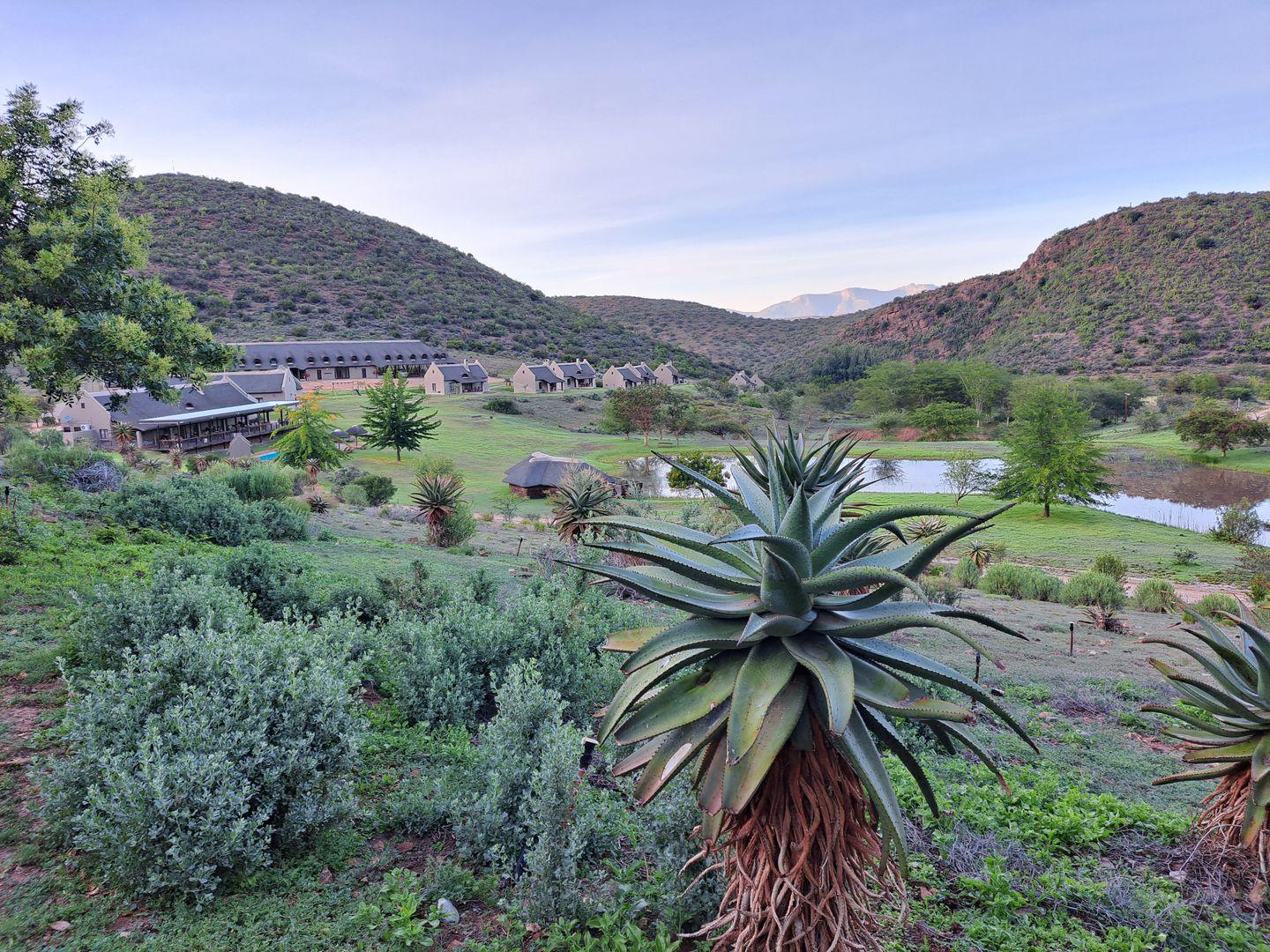 Farm for sale in Riversdale Rural 216 Rooiberg P24112519023