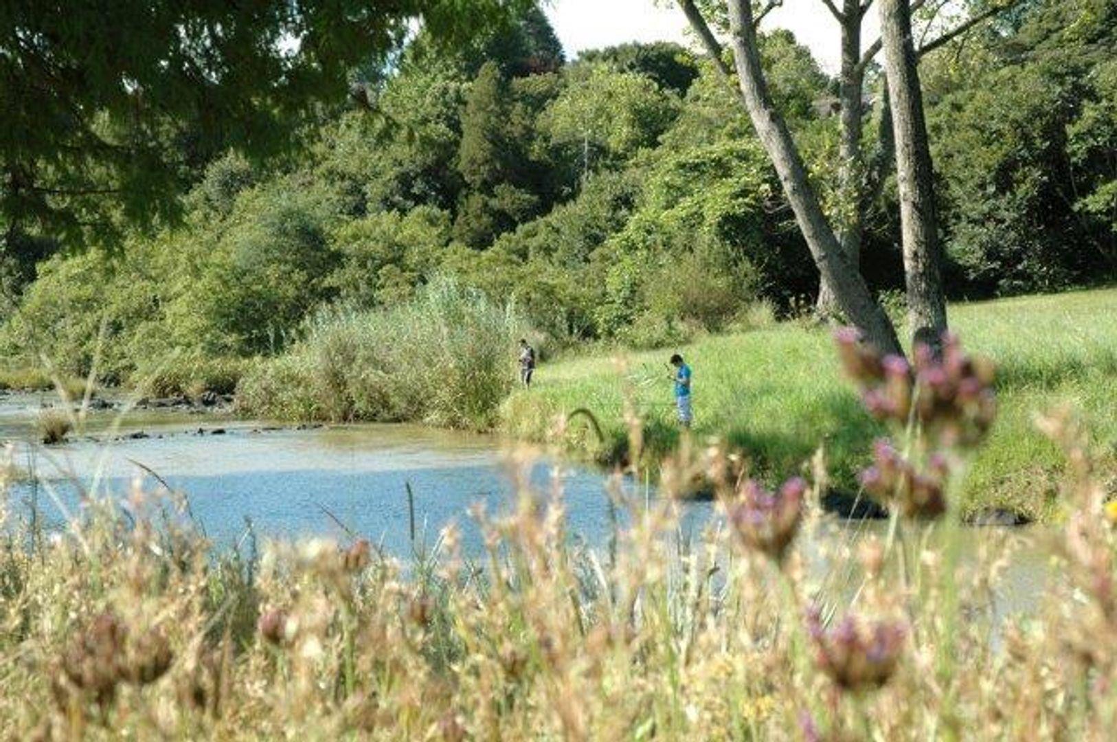 Vacant land / plots for sale in Howick Howick Property Property24