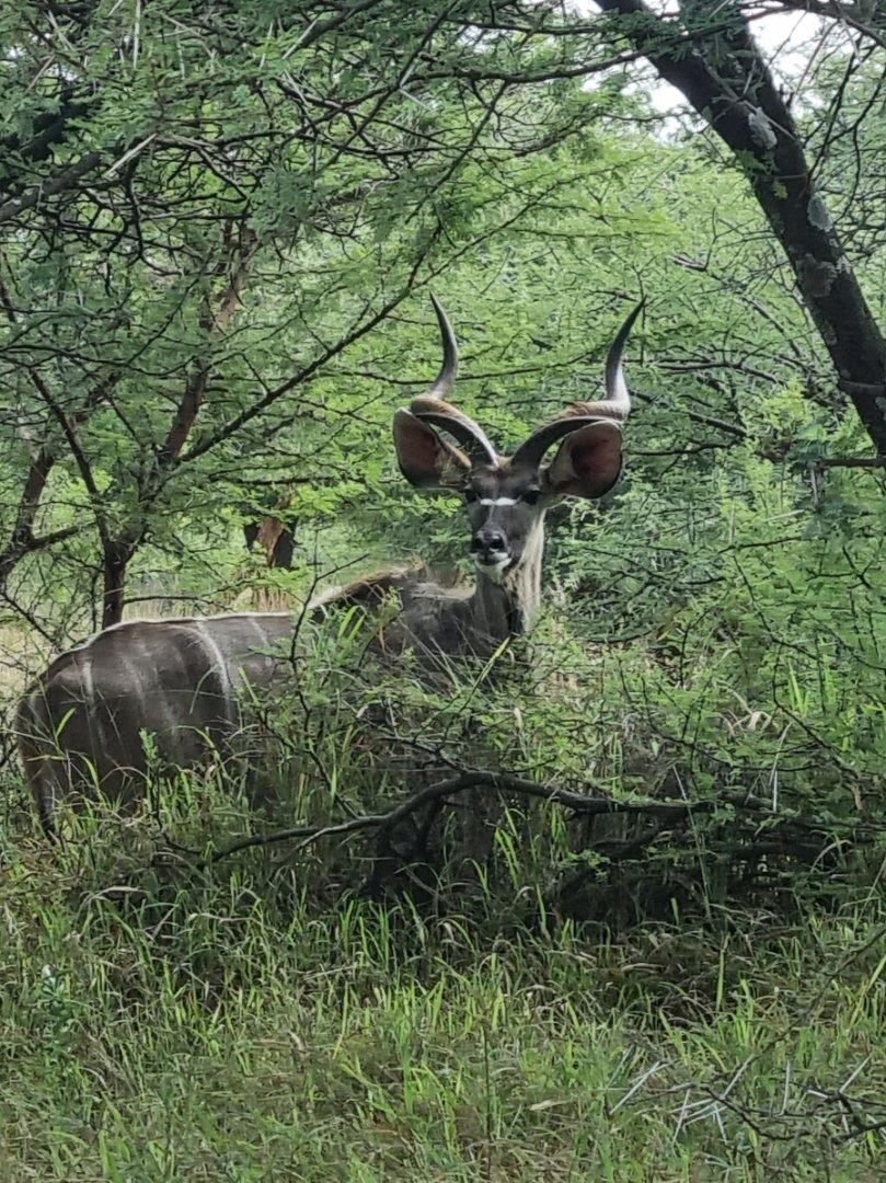 Boschhoek Ah Property Farms for sale in Boschhoek Ah