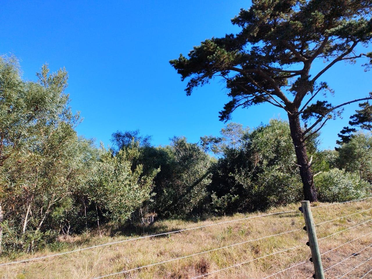 Farm for sale in Chelsea P24112523620