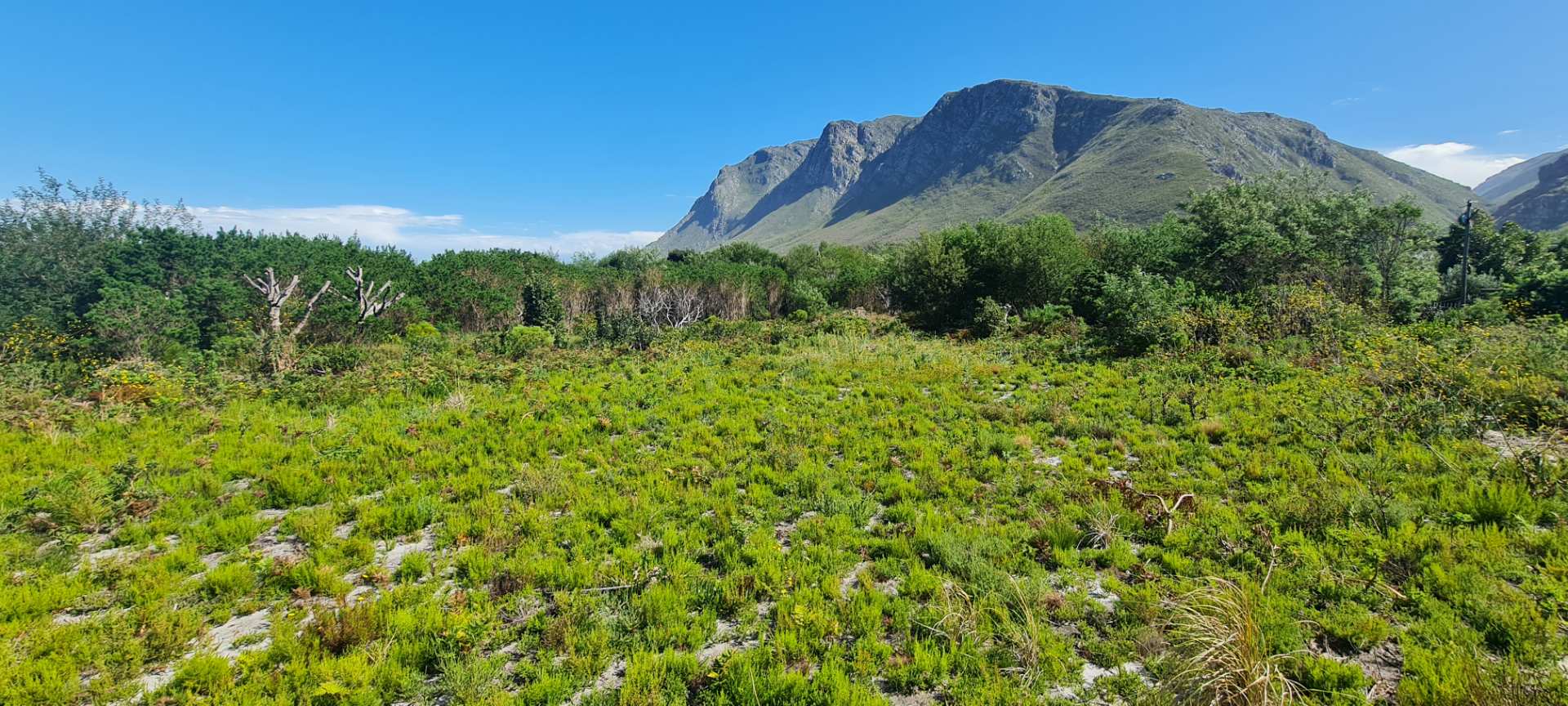 Vacant land / plots for sale in Bettys Bay Bettys Bay Property