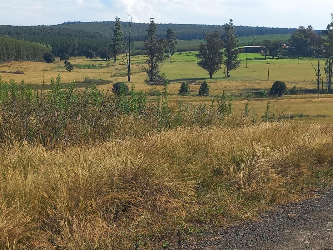 Farms for sale in Greytown Greytown Property