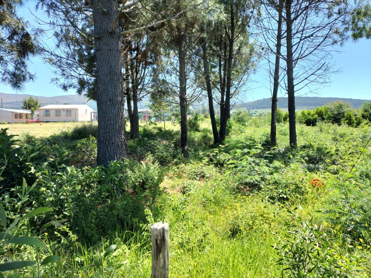 Vacant land / plot for sale in Friemersheim Ixia Close P24112537281