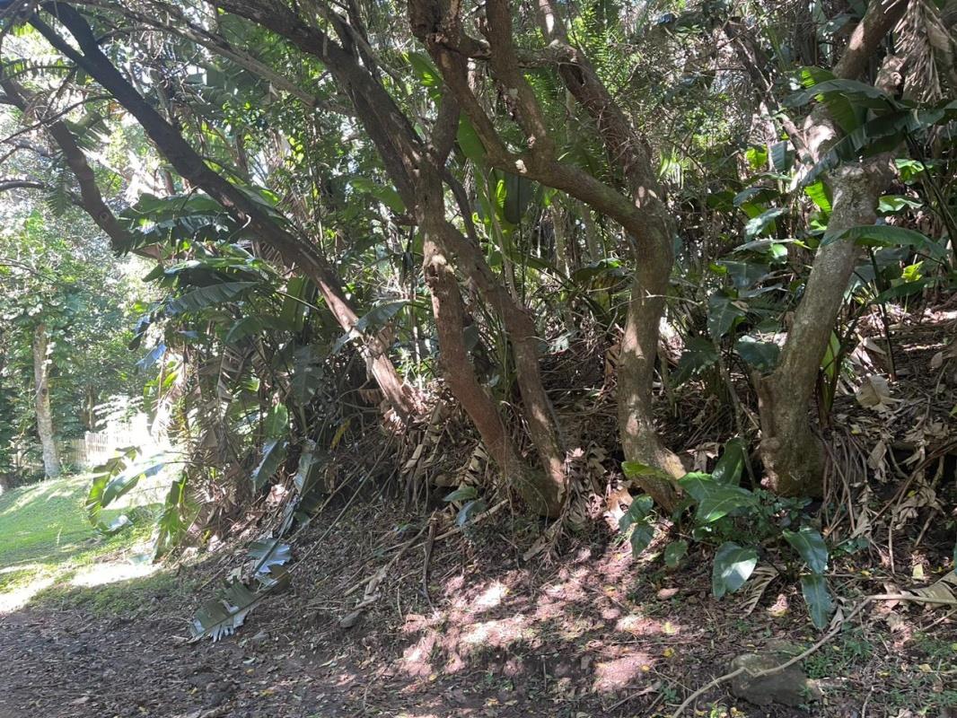 Vacant land / plot for sale in Three Hills P24112537744