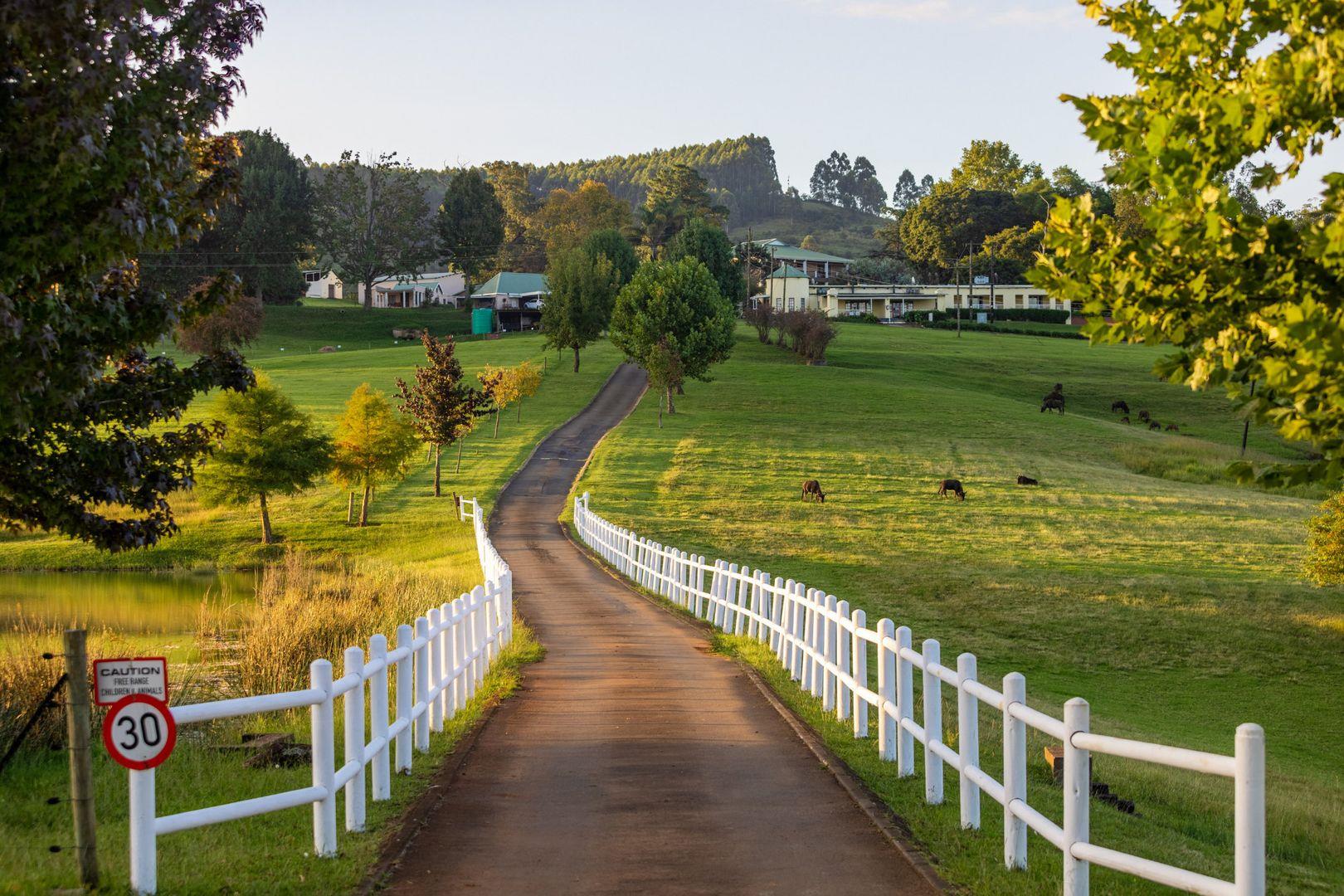 Commercial property for sale in Lions River P24112542213