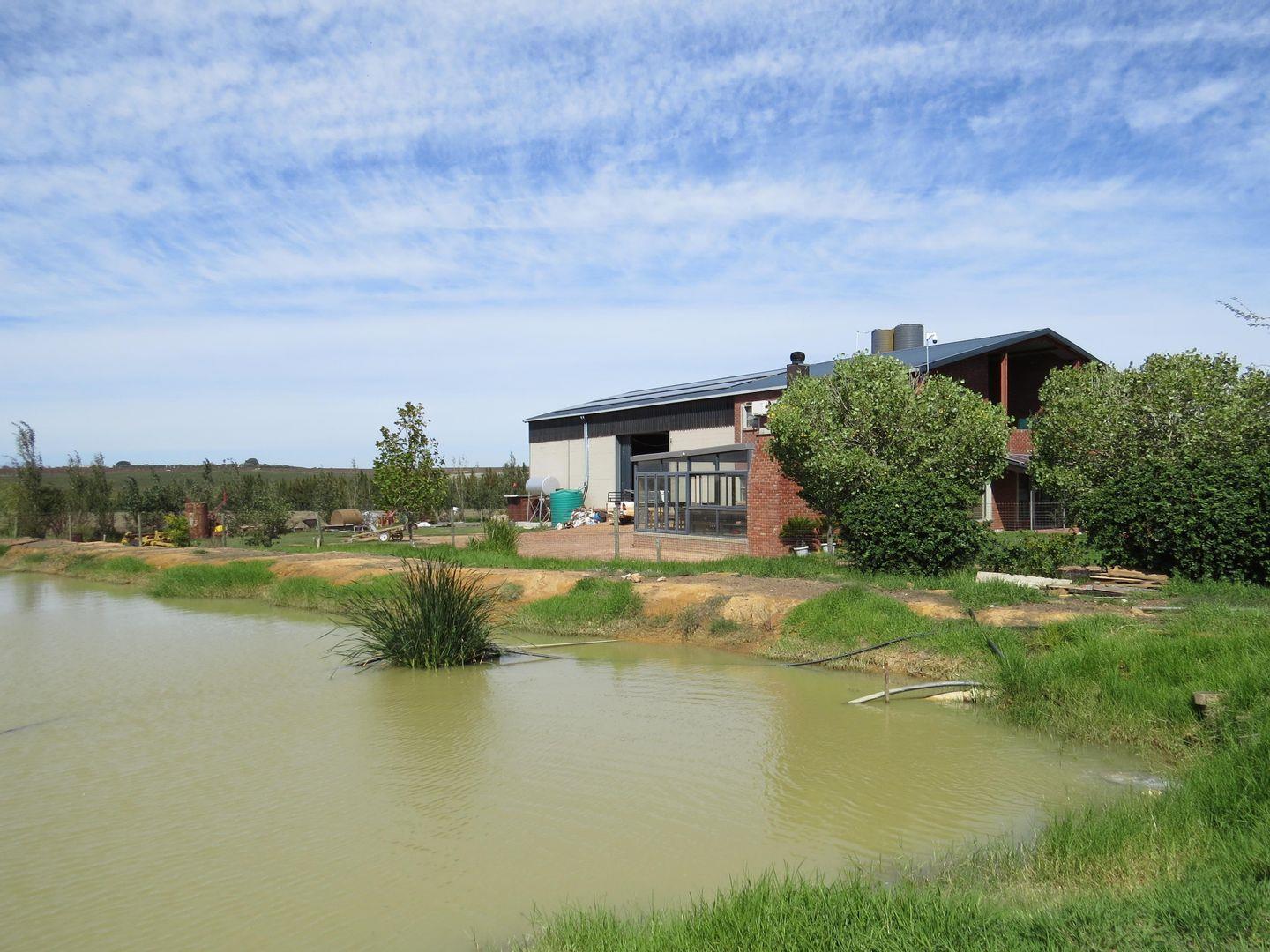 Farm for sale in Paarl Rural P24112546184