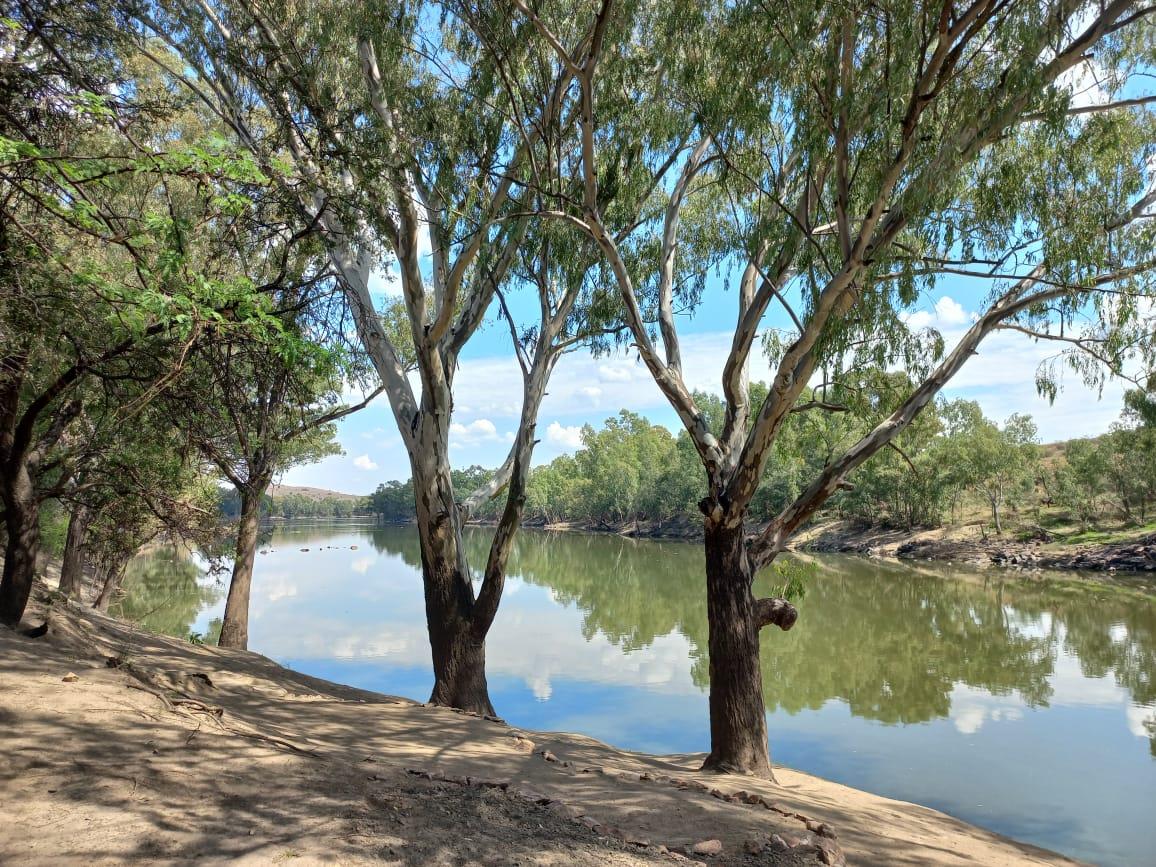 Farm for sale in Parys Rural P24112548471