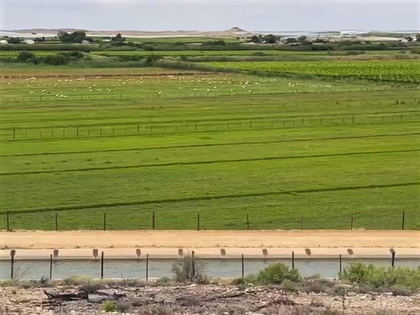 Property for sale in Northern Cape Farms for sale in Northern Cape