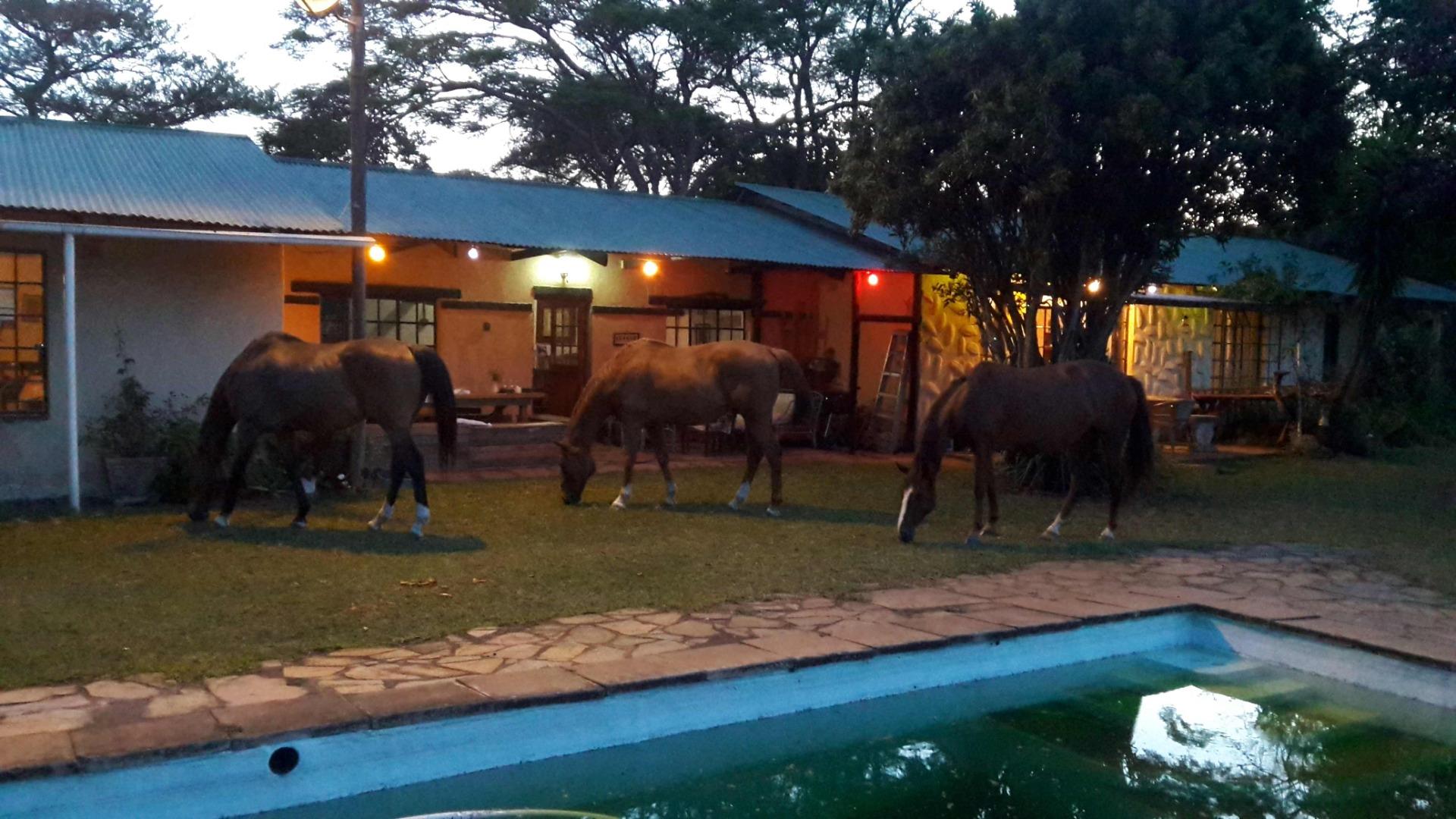 Farm for sale in Camperdown 132 73039 Track Leckhampton P24112504635