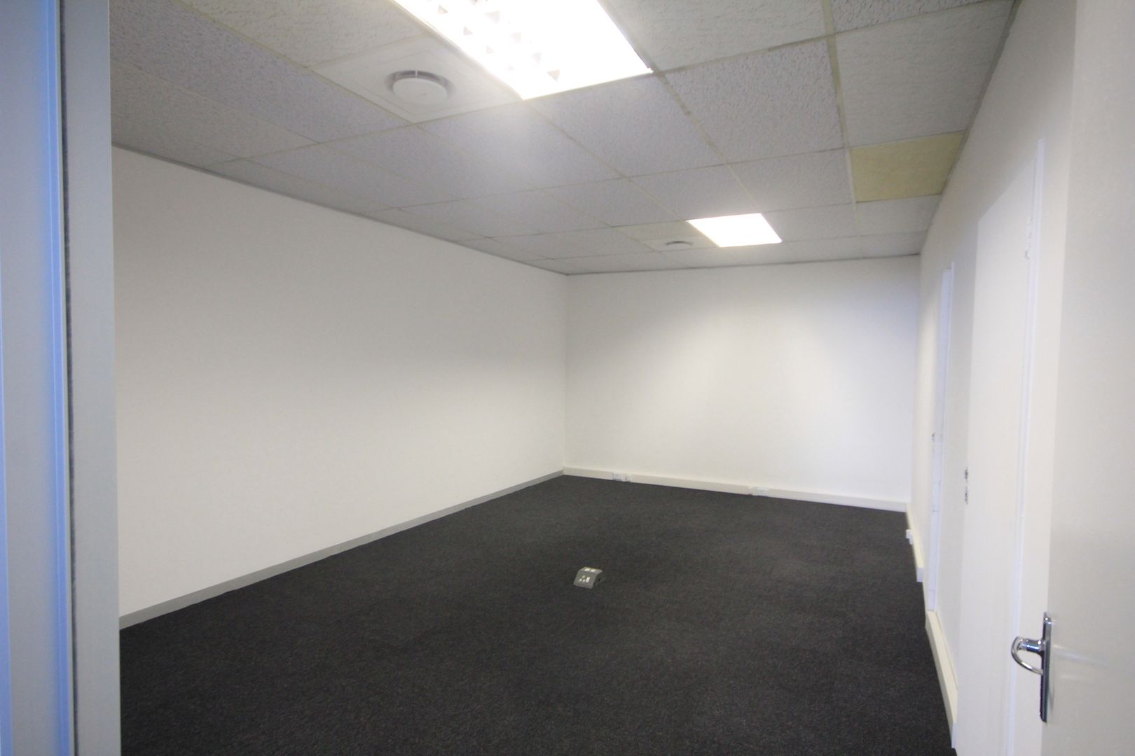 Springfield, Durban Property Property and houses to rent in