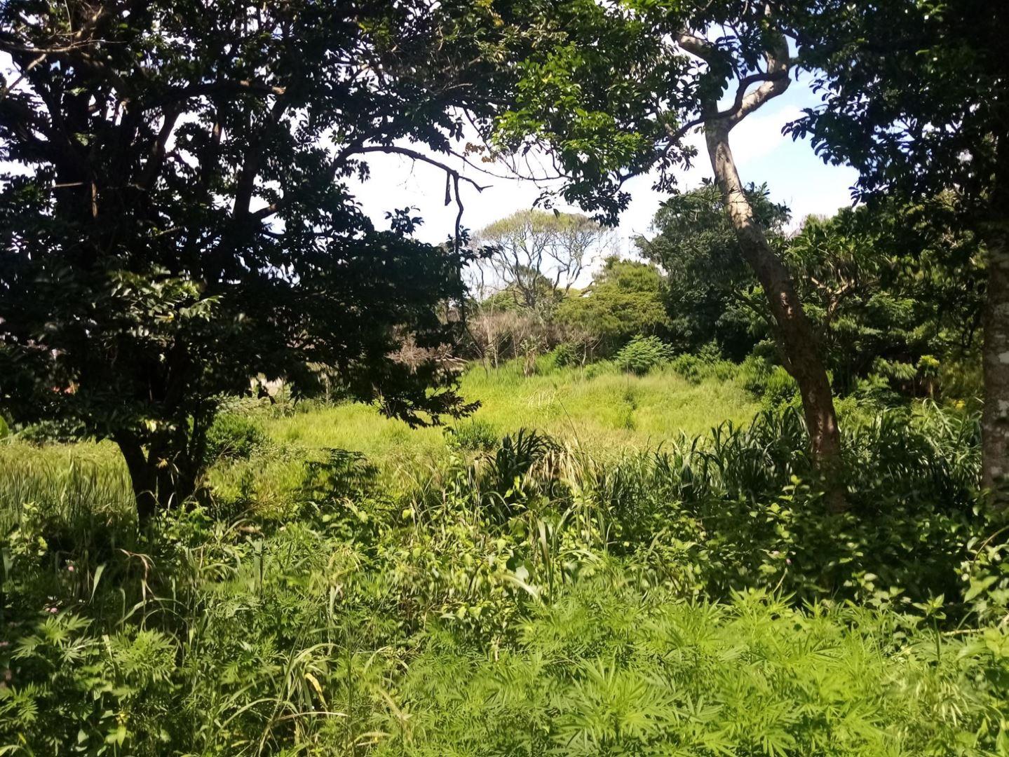 Vacant land / plot for sale in Marburg 3 Settlers Road P24108373651