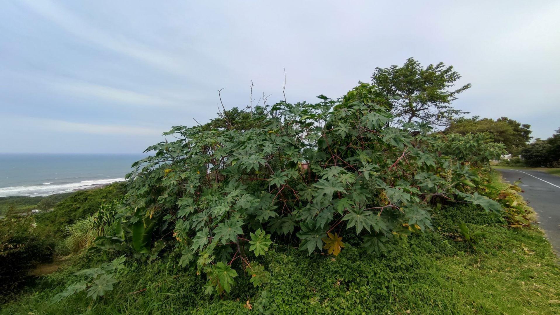 Vacant land / plot for sale in Oslo Beach P24112588408