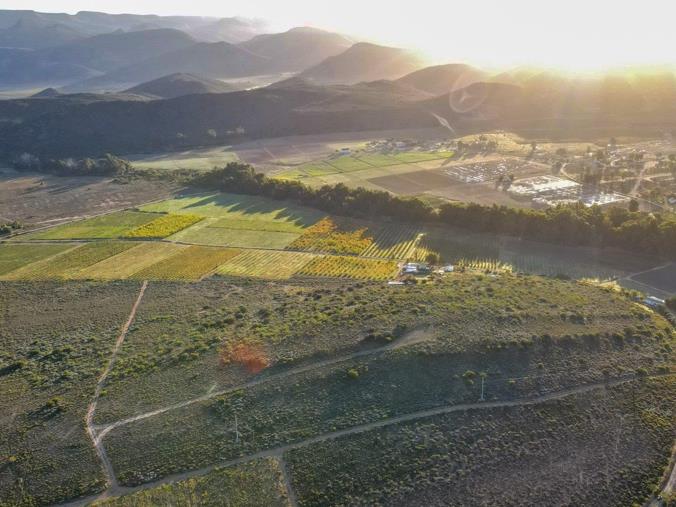 Farm for Sale in Montagu Rural