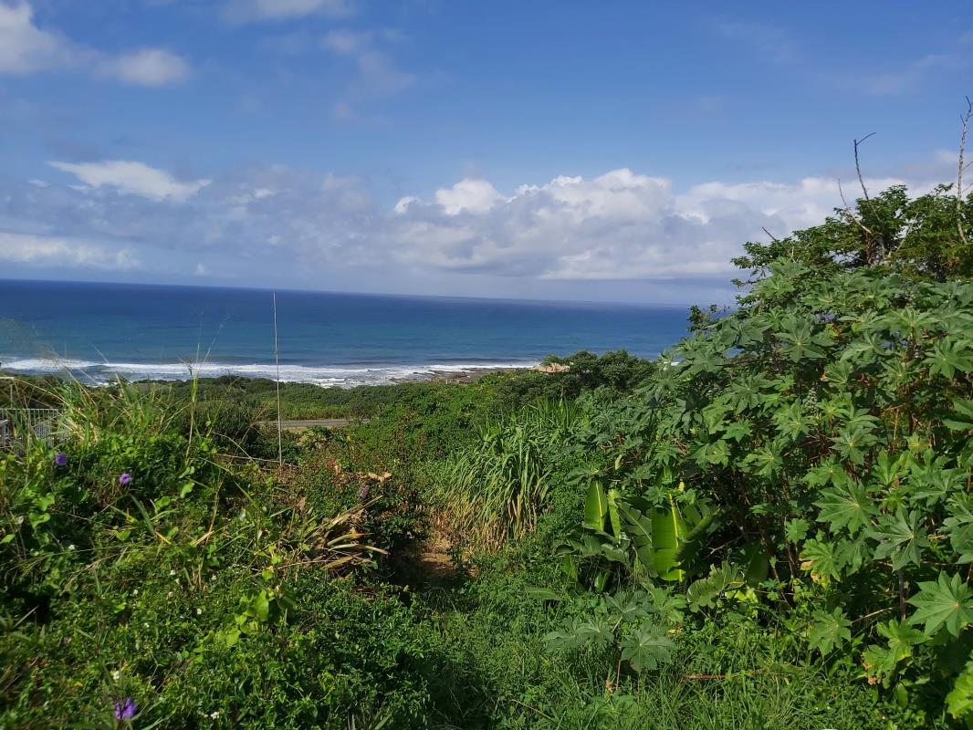 Vacant land / plot for sale in Oslo Beach 37 King Haakon Road P24